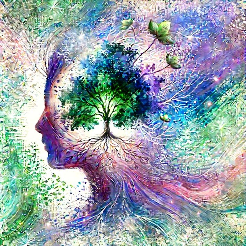 ������� �����������: ��� ���������� �������� ���������� �� ����������� �����������