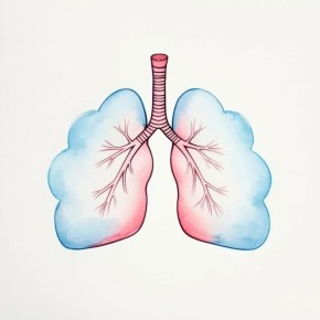 ��� ������������� ������ �� �������� ������: ������� � ������ �������