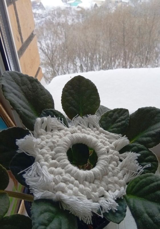 ��� ����������� ������ �����