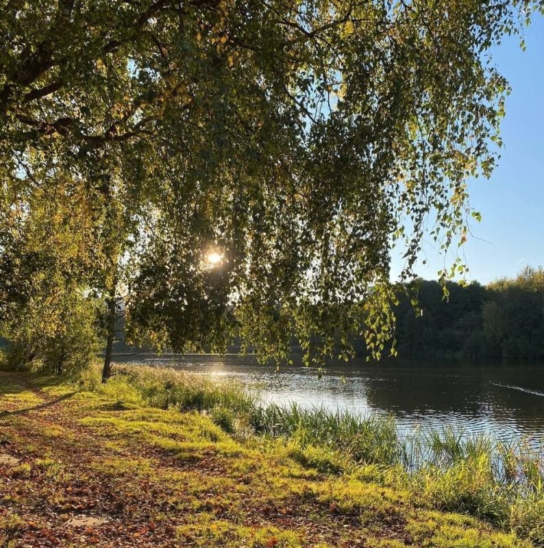 ��� ���������� � ������� ������: �������� ������� �������� � ������