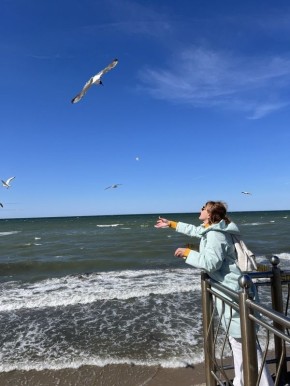 ������� ������ �� ������ ���������: ��� ������ ����� ���� ������