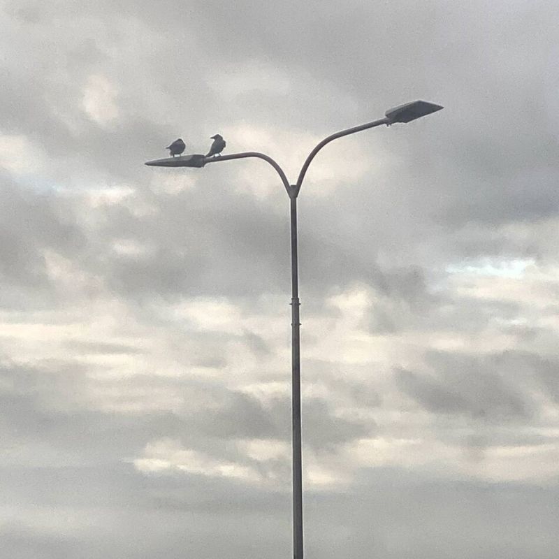 ��� ���������� � ������������: ������ � ������������