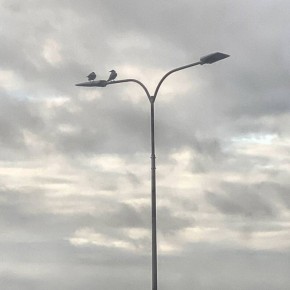 ��� ���������� � ������������: ������ � ������������