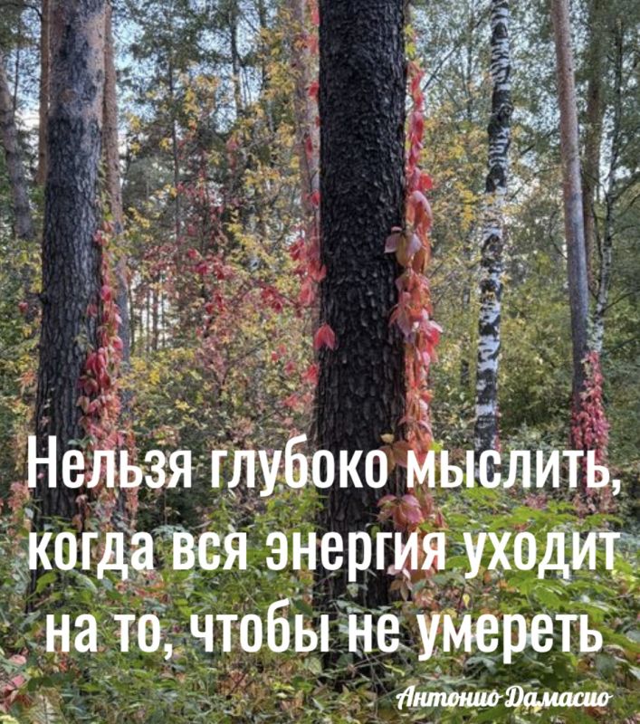 ��� ������ ������ �� �������� � ������