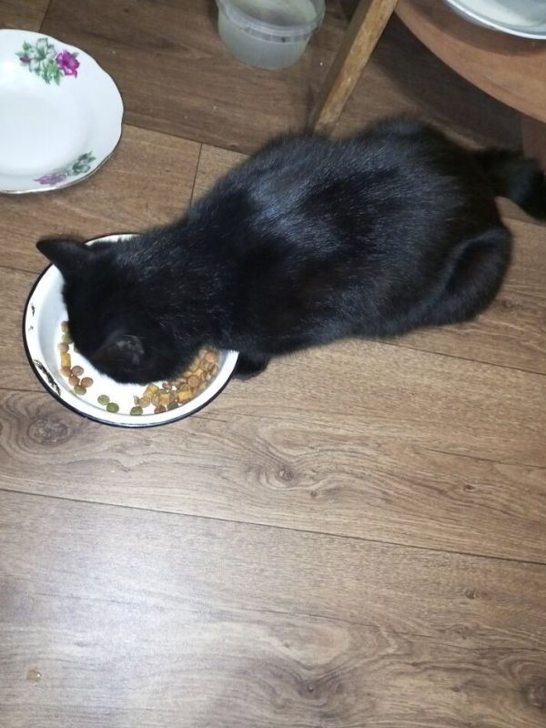 ������� �����: ��� ������ ���� ���������� �� ��������� ����� ��������?