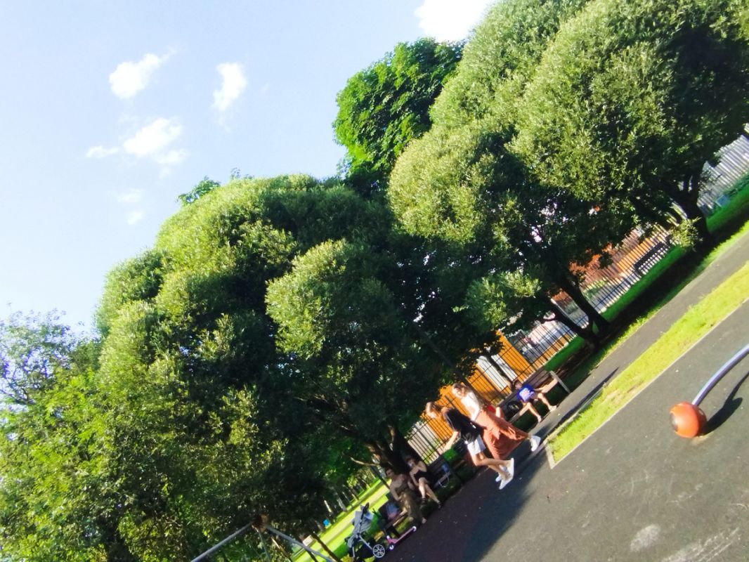 ��� ������ ������ ������� �����, ���������� ��� ���������