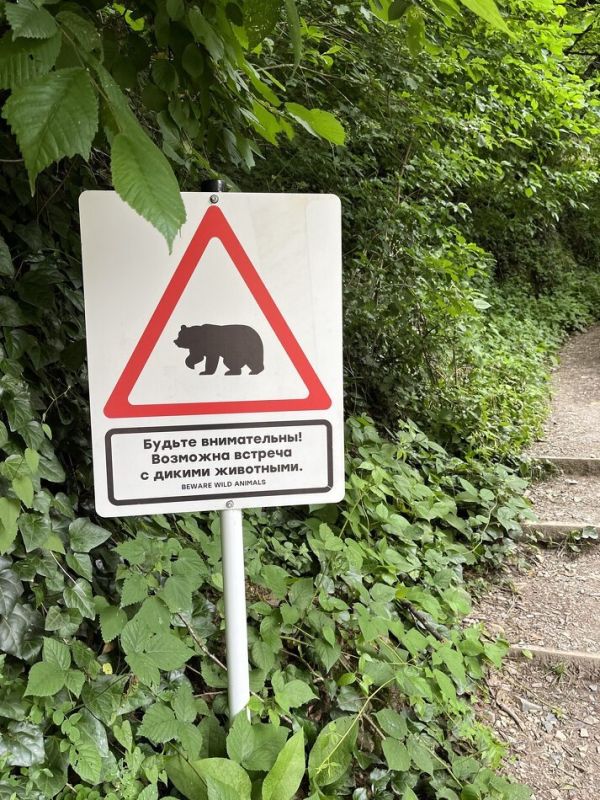 ��� ����� ���������� � ��� �������� ���� ����������