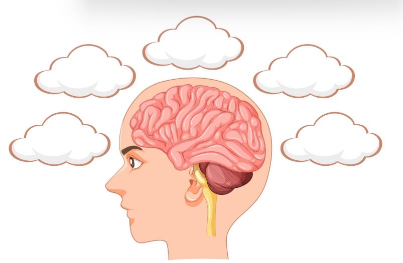 ��� ���� �������� ���� �������� � ����������