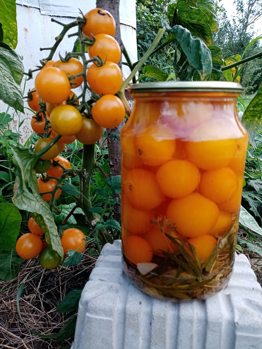 Как цветы и цветение способны пробудить воспоминания и чувства