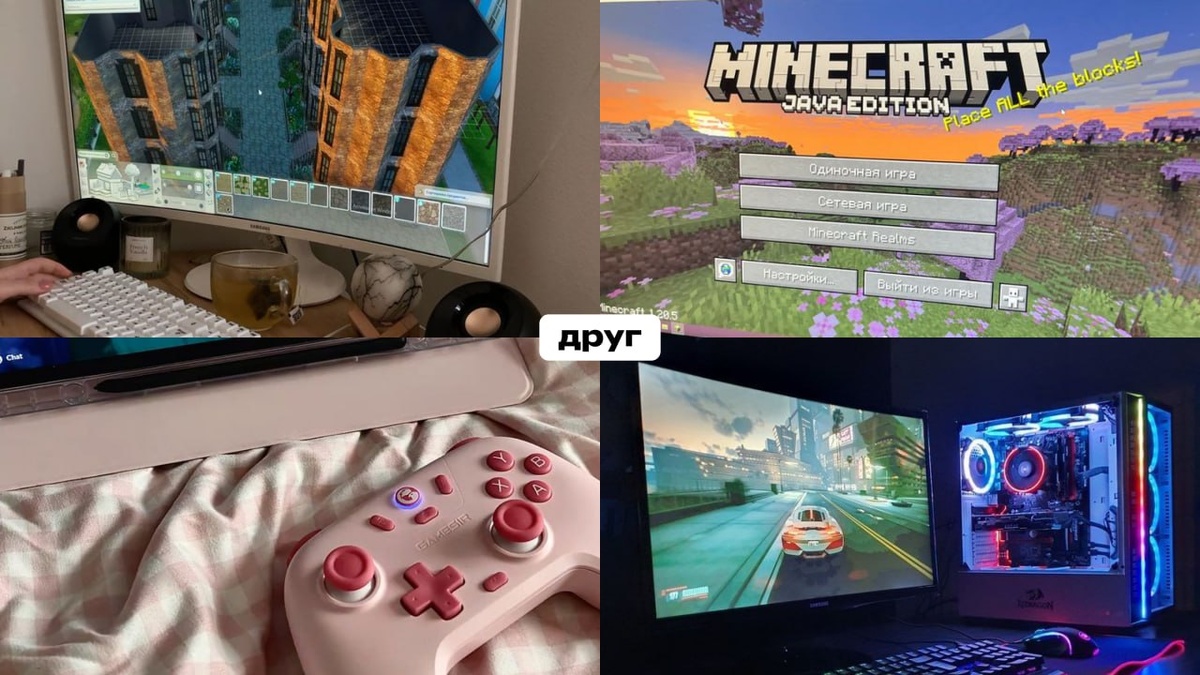 Полугодовые курсы егэ: старт бесплатного обучения для старшеклассников