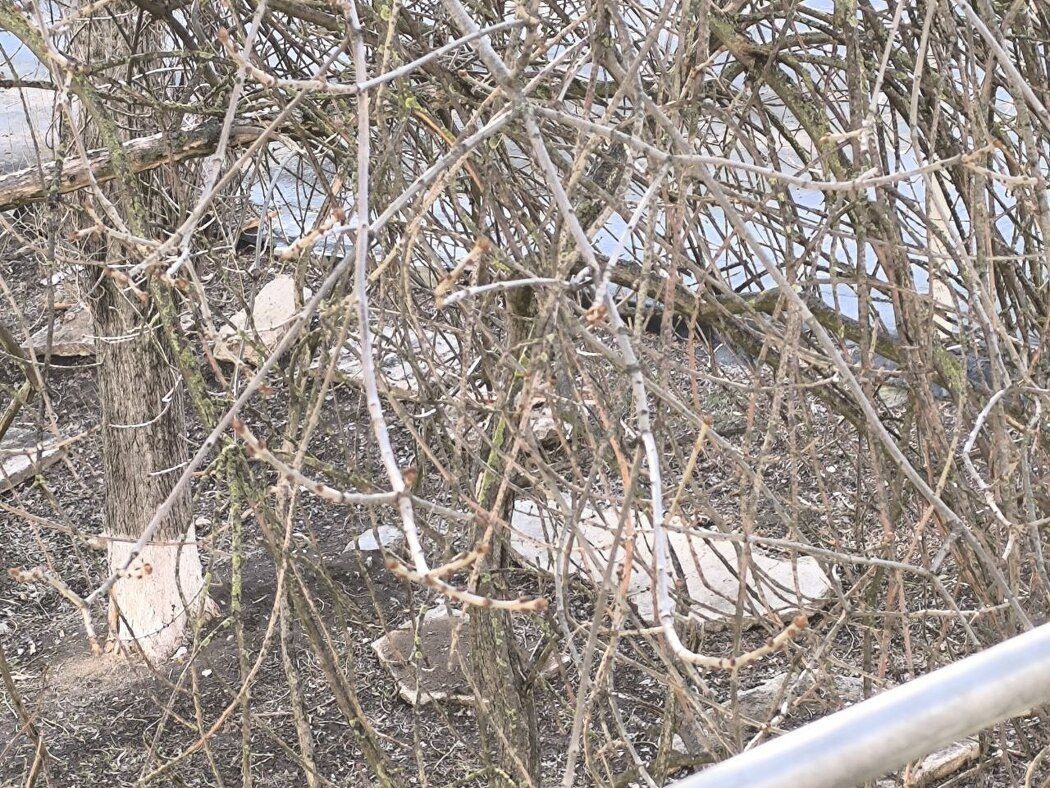 Как искусство может преобразить скучные уголки города