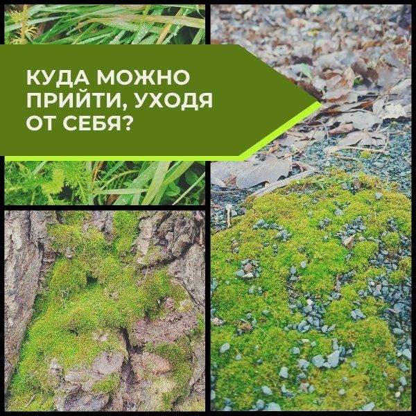 Как найти себя в мире обязательств и ожиданий