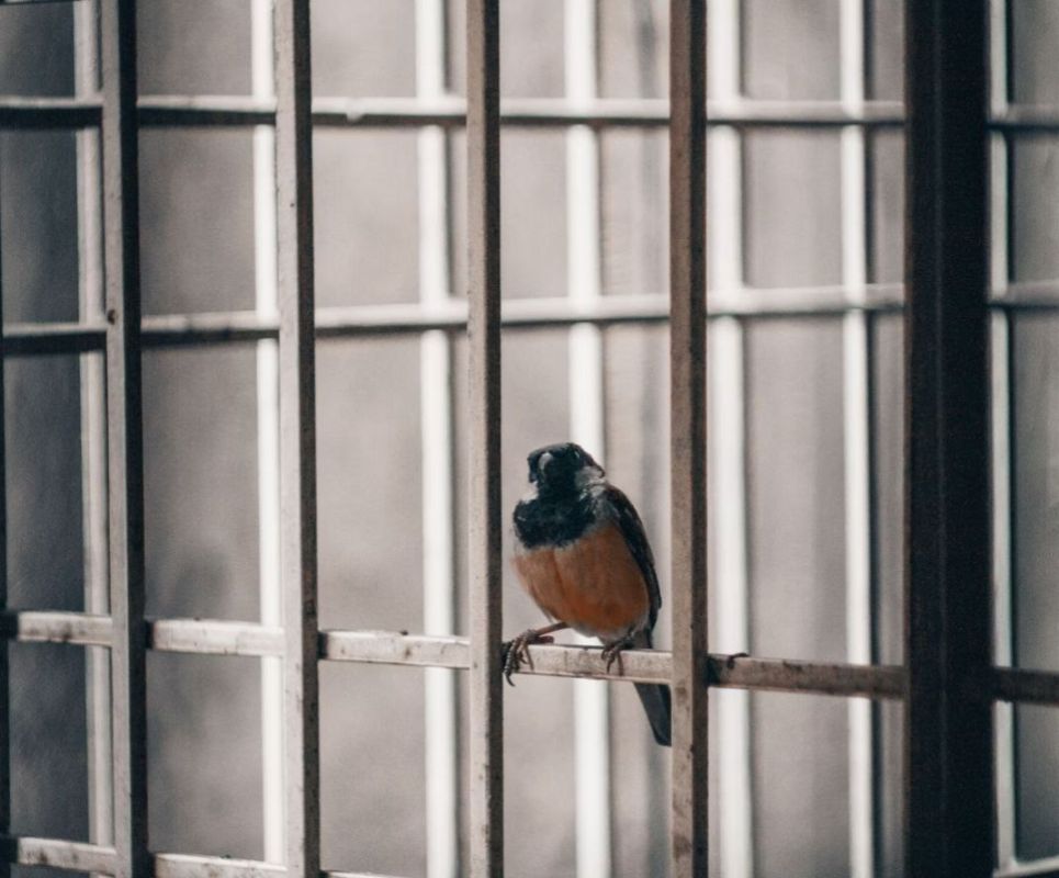 �� ��������� �������: �������� �������������� ���������� ��� ��������