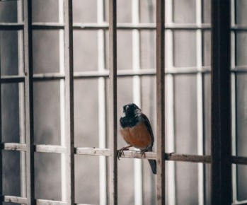 �� ��������� �������: �������� �������������� ���������� ��� ��������