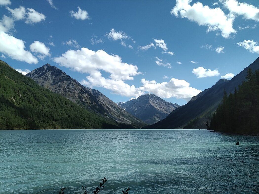 ���� ���������� ��������