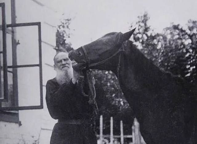 ���� ����: ��� ���������� �������� �����