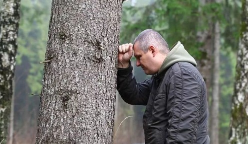 ����� ���� �� �� ���� ������: ����������� ��������, ������� ������� �� ����