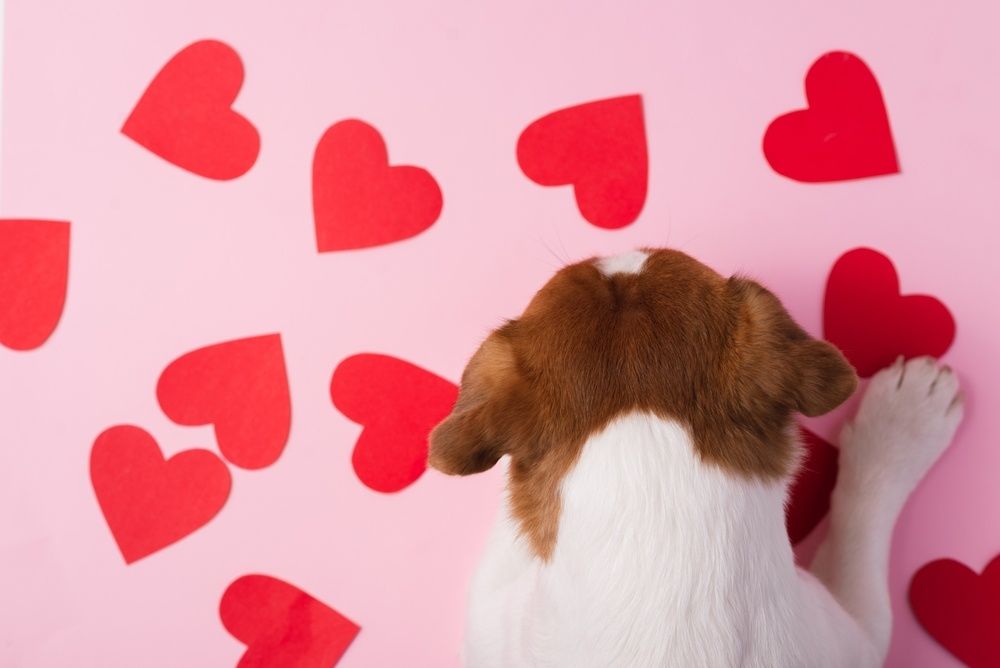 ������������ � ���� ������� ���������