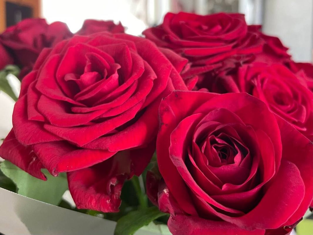 ��� ������������ ��������� ��������� ������