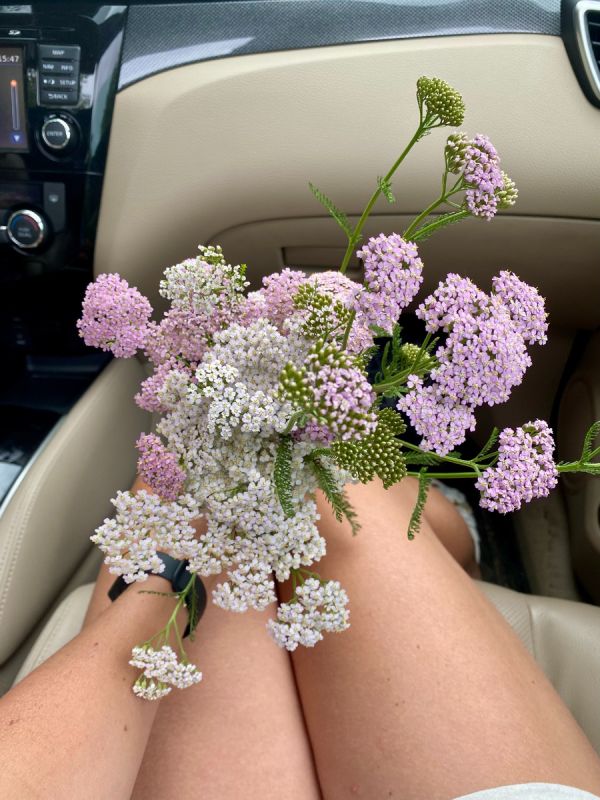 Как создать гармоничные отношения: простые правила для счастья