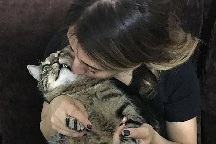 ���� � ���������� �����: 7 ������� � ���� � ������ ��� �����������?