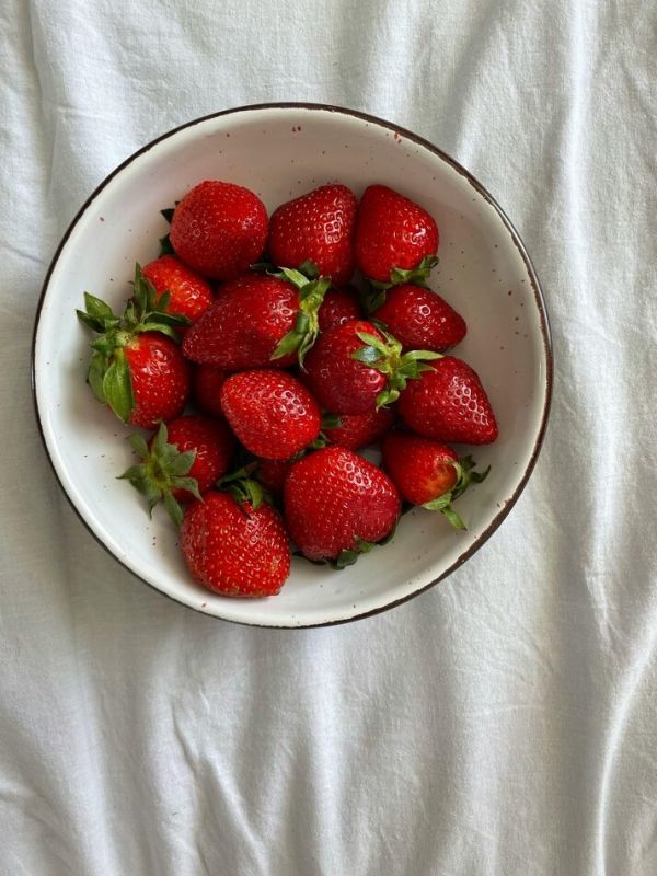 ����� ������� ���������� ������ ��������