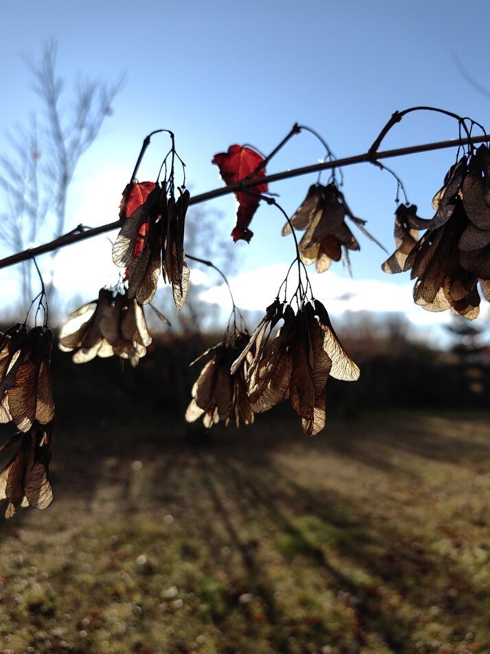 Почему регулярность ключ к успешным переменам?