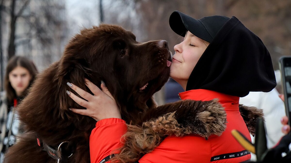 Как зоопсихологи помогают питомцам обрести гармонию