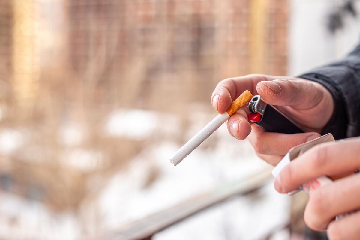 ��� �������� ���� �����: ������-���������� ��� ������� ����