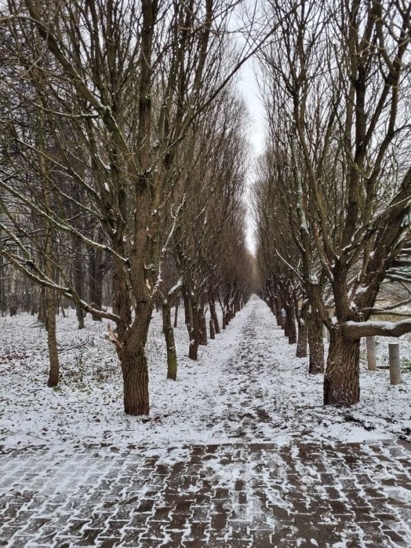 Когда зависть мешает видеть красоту жизни