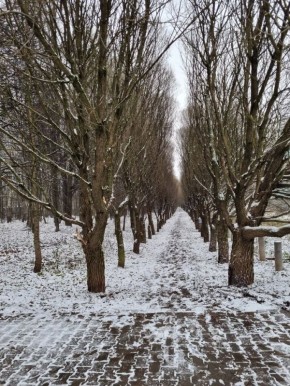 ����� ������� ������ ������ ������� �����