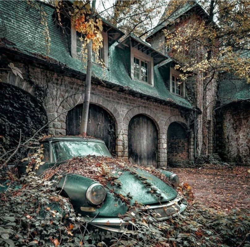 ��� ��������� ������������ ������: ������� �������������� ������������