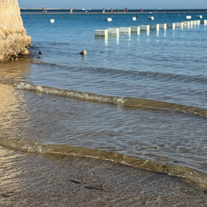 ����� ������ �����: ����� ����������� ���������� ���������