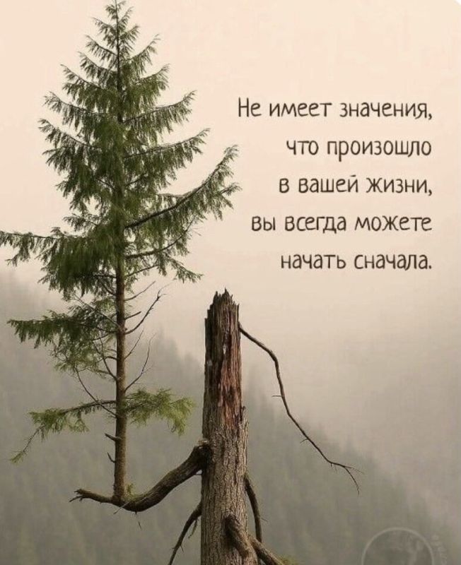 Пустота после потери: как превратить её в личный рост