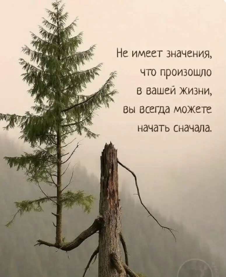 Пустота после потери: как превратить её в личный рост