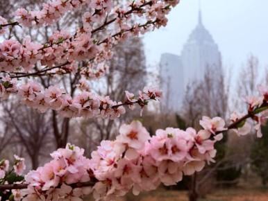 Как спонтанность меняет облик современного туризма