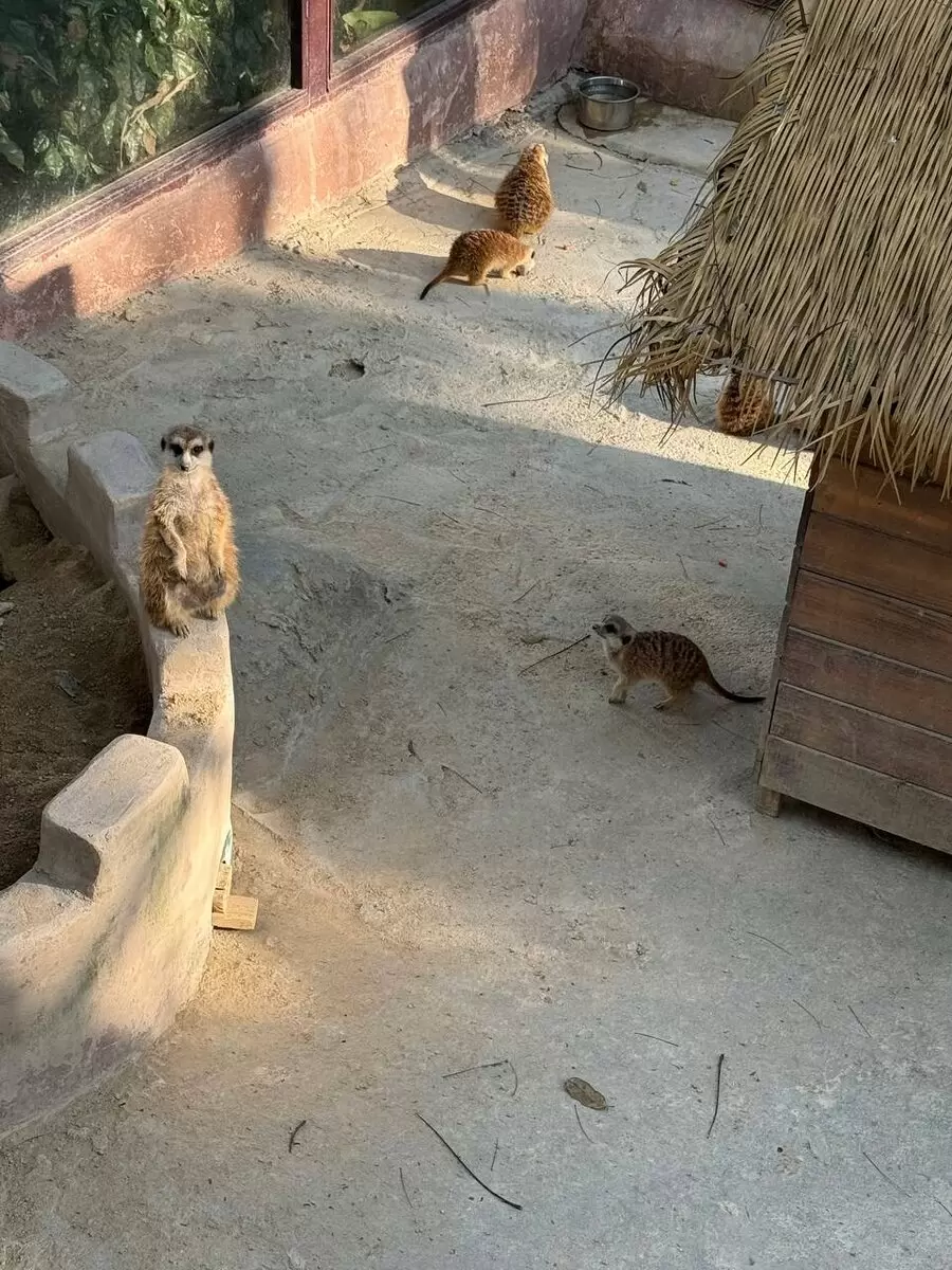 Почему работа приносит лишь усталость, а не радость?