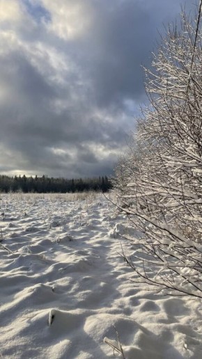 ����-���������� ��� ���, ��� �����: ��� ������������ ������, � �� ������ �������