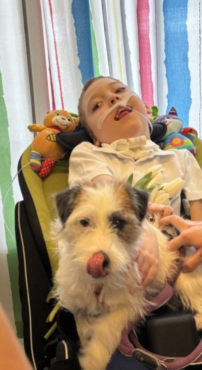 Сила дружбы: Канис-терапия в детском хосписе