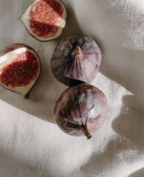 ����������� � ����������: ��������� �������� � �������������