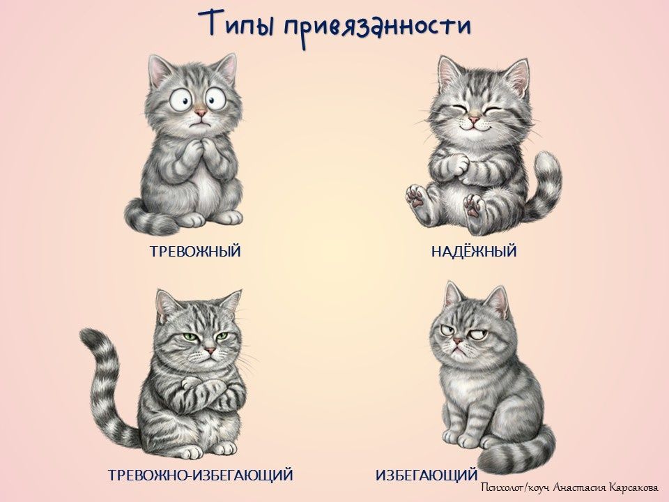 ���� �������������: ��� � ��� ����� �����