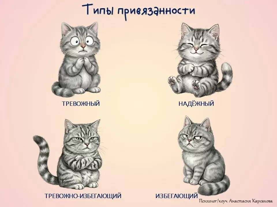 Типы привязанности: что о них стоит знать