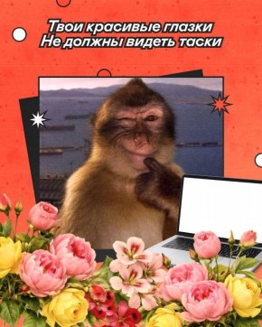 ��� ���������� � ����� �� ������: 9 ������������ ����