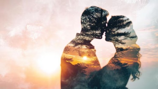 ����� ������ ���������� ����������: ������������ � ������