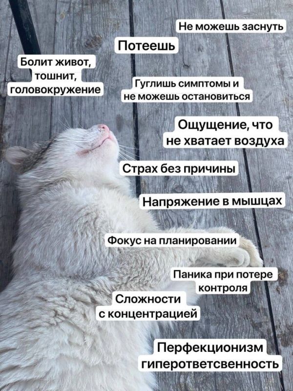 ��� ��������� ������������ ������� ���� �� ������