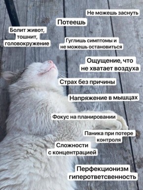 ��� ��������� ������������ ������� ���� �� ������