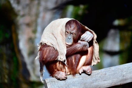 ������ ����������� ���������� ������ �� ���� � ������