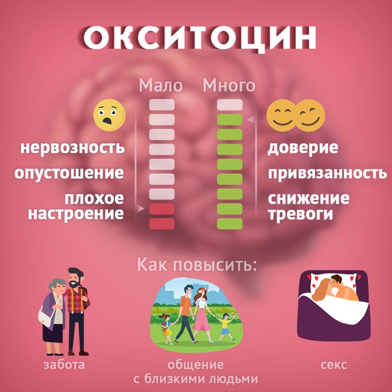 ���������: ��� ������ ����� ��������� ���� ���������