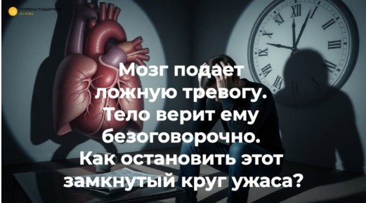 ����� ����� �������: ��� �� ��������� ���������� ������������