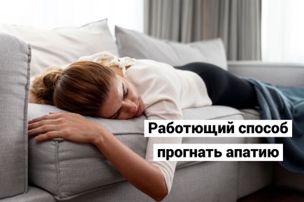 ��� ���������� � �������: ����������� ������ ��������